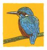 IJsvogel